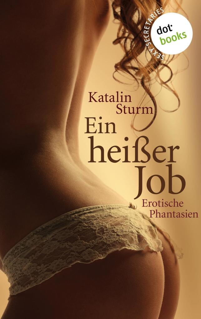 Produktbild: Sexy Secretaries - Band 3: Ein heißer Job | Katalin Sturm