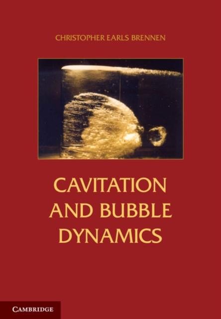Cavitation and Bubble Dynamics.pdf