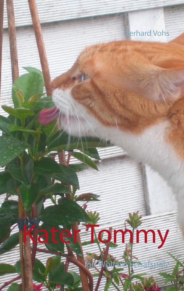 Kater Tommy.pdf