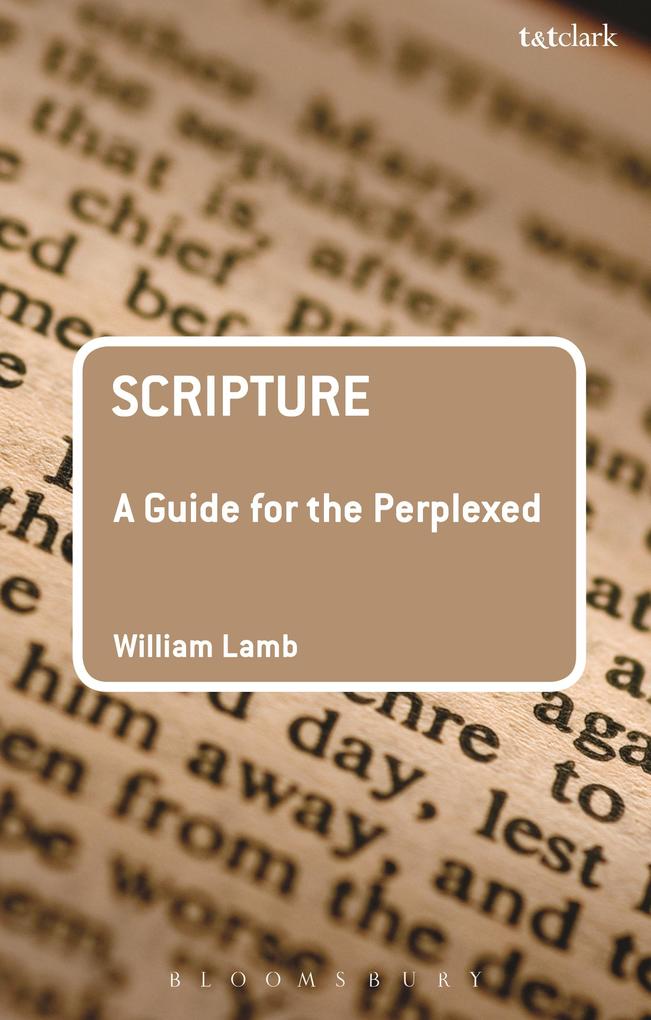 Scripture: A Guide for the Perplexed.pdf