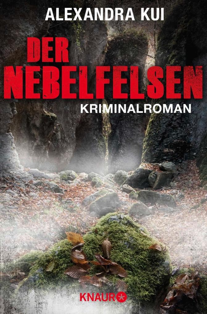 Der Nebelfelsen.pdf