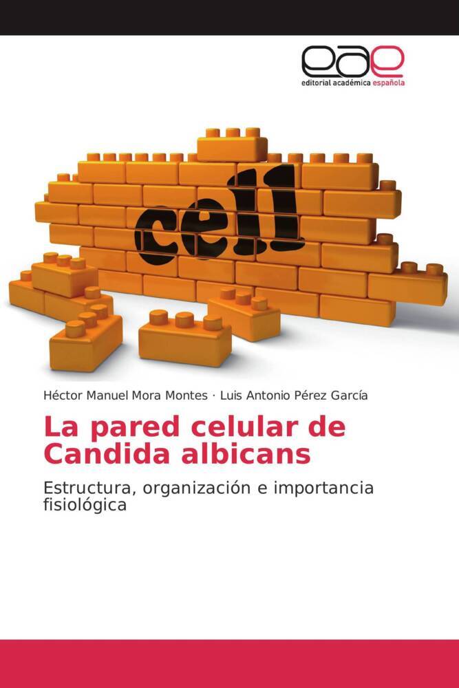La pared celular de Candida albicans.pdf