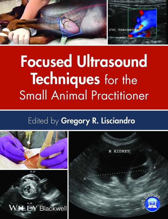 Focused Ultrasound Techniques for the Small Animal Practitioner.pdf