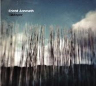 Produktbild: Blikkspor | Erlend Apneseth