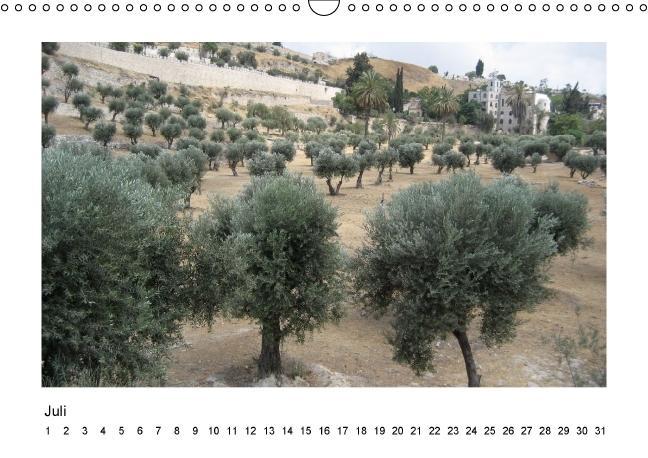 Weitere Ansicht: ISRAEL (Wandkalender immerwährend DIN A3 quer) | Oliver Weyer