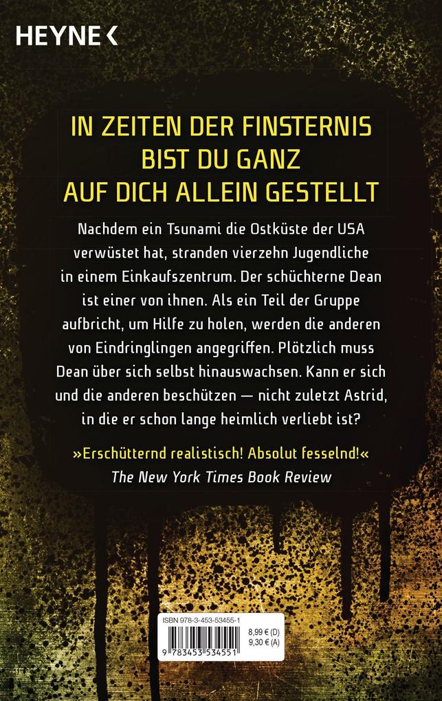 Weitere Ansicht: Monument 14: Die Flucht (2) | Emmy Laybourne