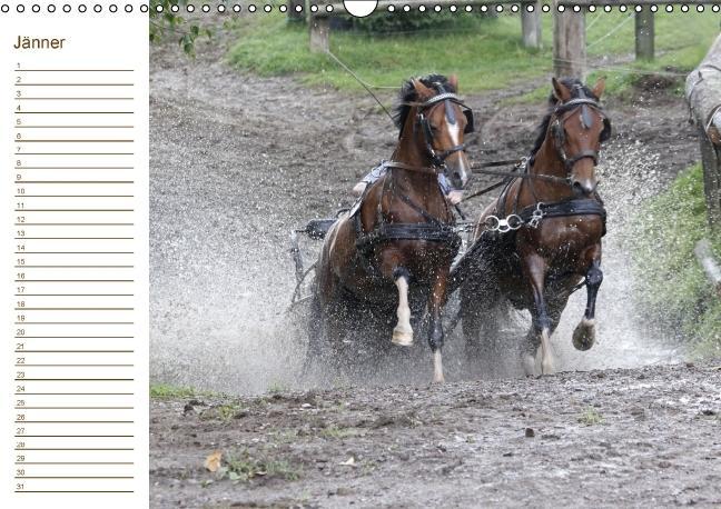 Weitere Ansicht: Pferde / Geburtstagskalender / AT-Version (Wandkalender immerwährend DIN A3 quer) | Antje Lindert-Rottke