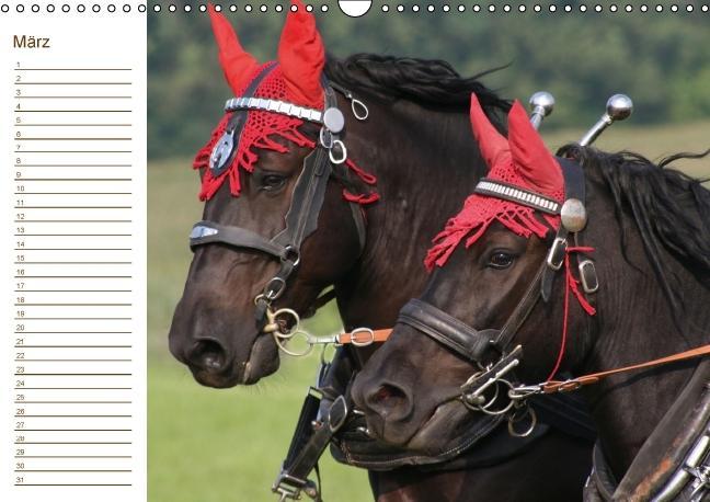 Weitere Ansicht: Pferde / Geburtstagskalender / AT-Version (Wandkalender immerwährend DIN A3 quer) | Antje Lindert-Rottke