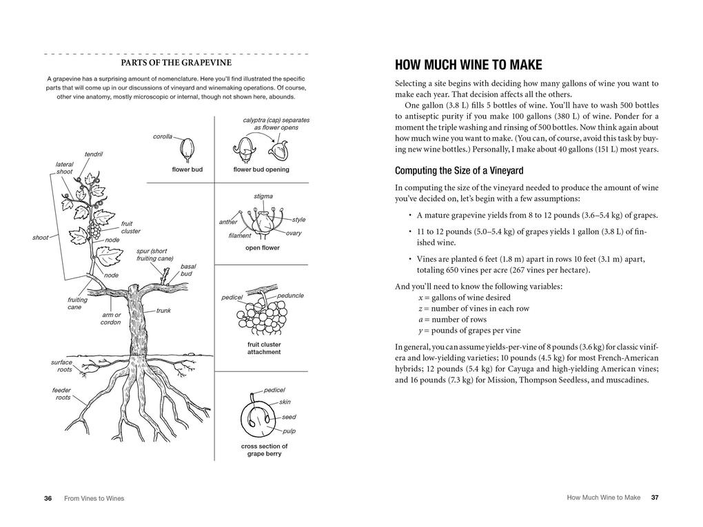 Weitere Ansicht: From Vines to Wines, 5th Edition | Jeff Cox