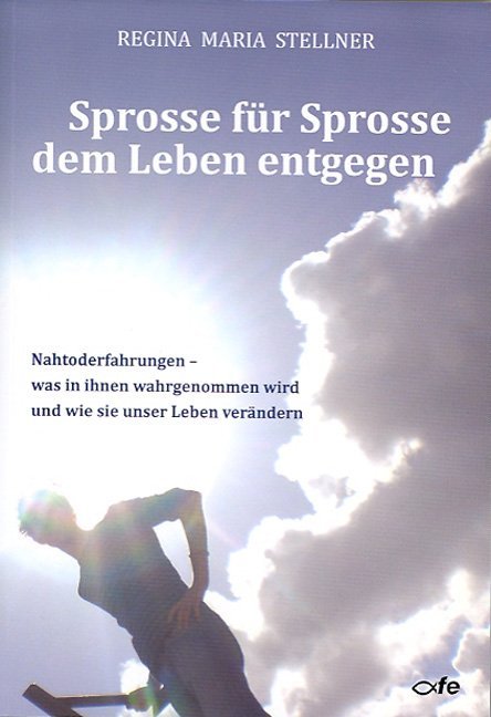 Produktbild: Sprosse für Sprosse dem Leben entgegen | Regina Maria Stellner