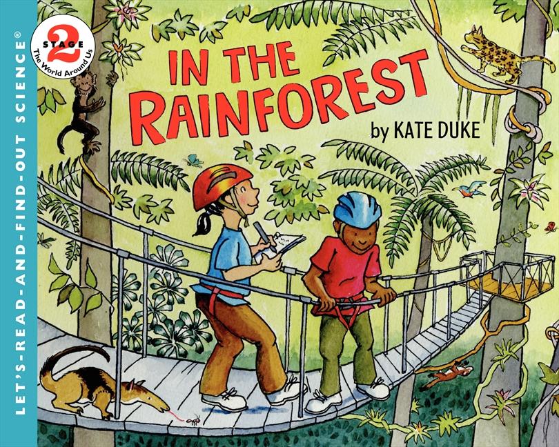 Produktbild: In the Rainforest | Kate Duke