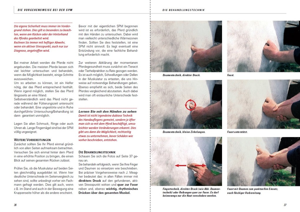 Weitere Ansicht: Stresspunktmassage nach Jack Meagher | Claus Teslau