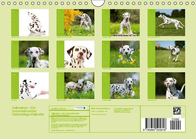 Weitere Ansicht: Dalmatiner - Ein immerwährender Geburtstags-Kalender (Wandkalender immerwährend DIN A4 quer) | Judith Dzierzawa