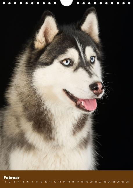 Weitere Ansicht: Hundekalender - Nordische Schönheiten (Wandkalender immerwährend DIN A4 hoch) | Nicole Noack