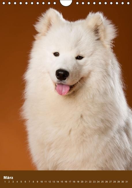 Weitere Ansicht: Hundekalender - Nordische Schönheiten (Wandkalender immerwährend DIN A4 hoch) | Nicole Noack