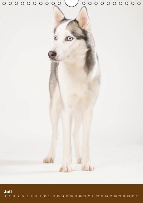 Weitere Ansicht: Hundekalender - Nordische Schönheiten (Wandkalender immerwährend DIN A4 hoch) | Nicole Noack