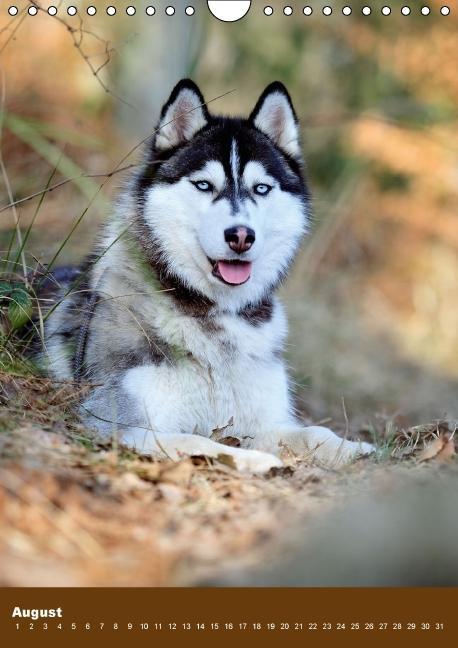Weitere Ansicht: Hundekalender - Nordische Schönheiten (Wandkalender immerwährend DIN A4 hoch) | Nicole Noack