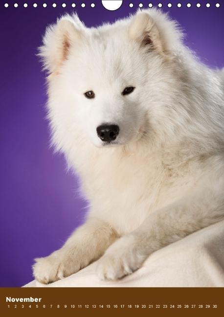 Weitere Ansicht: Hundekalender - Nordische Schönheiten (Wandkalender immerwährend DIN A4 hoch) | Nicole Noack