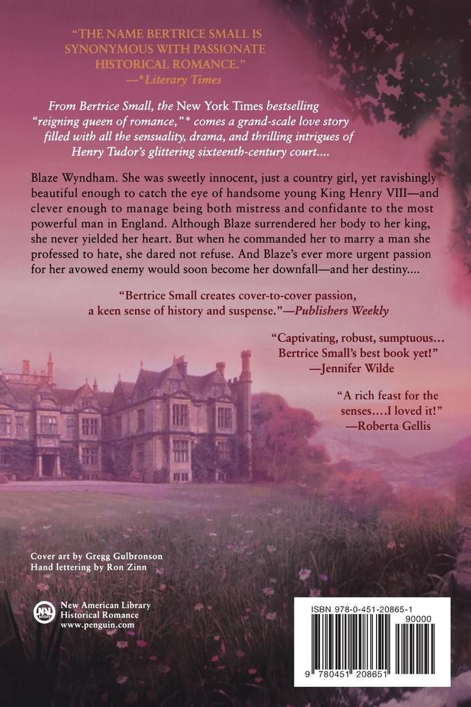 Weitere Ansicht: Blaze Wyndham | Bertrice Small