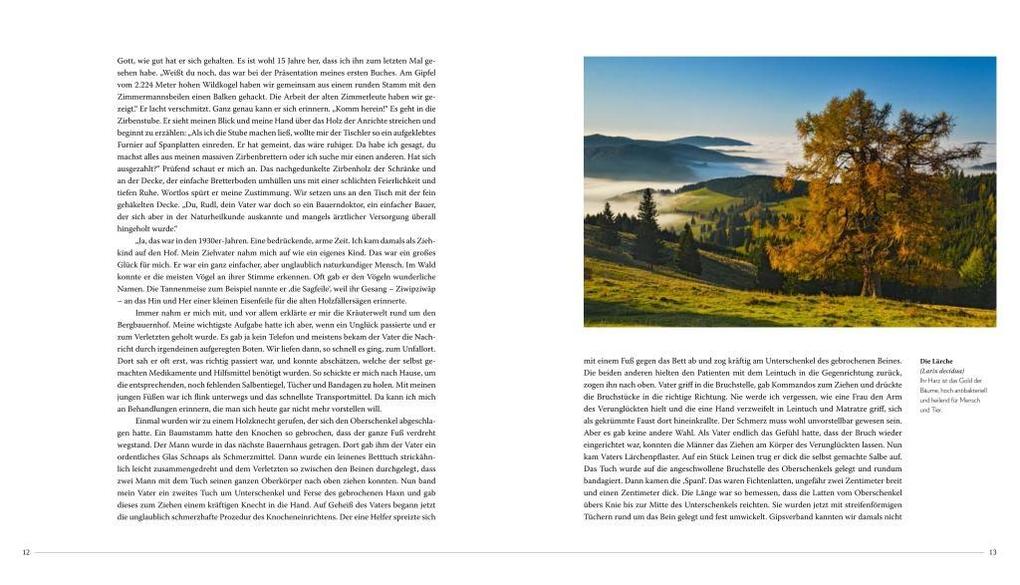 Weitere Ansicht: Die sanfte Medizin der Bäume | Erwin Thoma, Maximilian Moser
