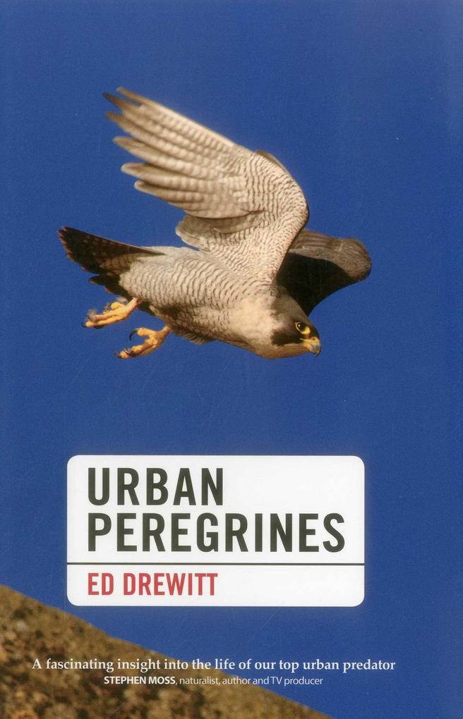 Produktbild: Urban Peregrines | Ed Drewitt