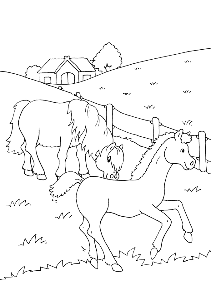 Weitere Ansicht: Mein dickes Malbuch. Pferde