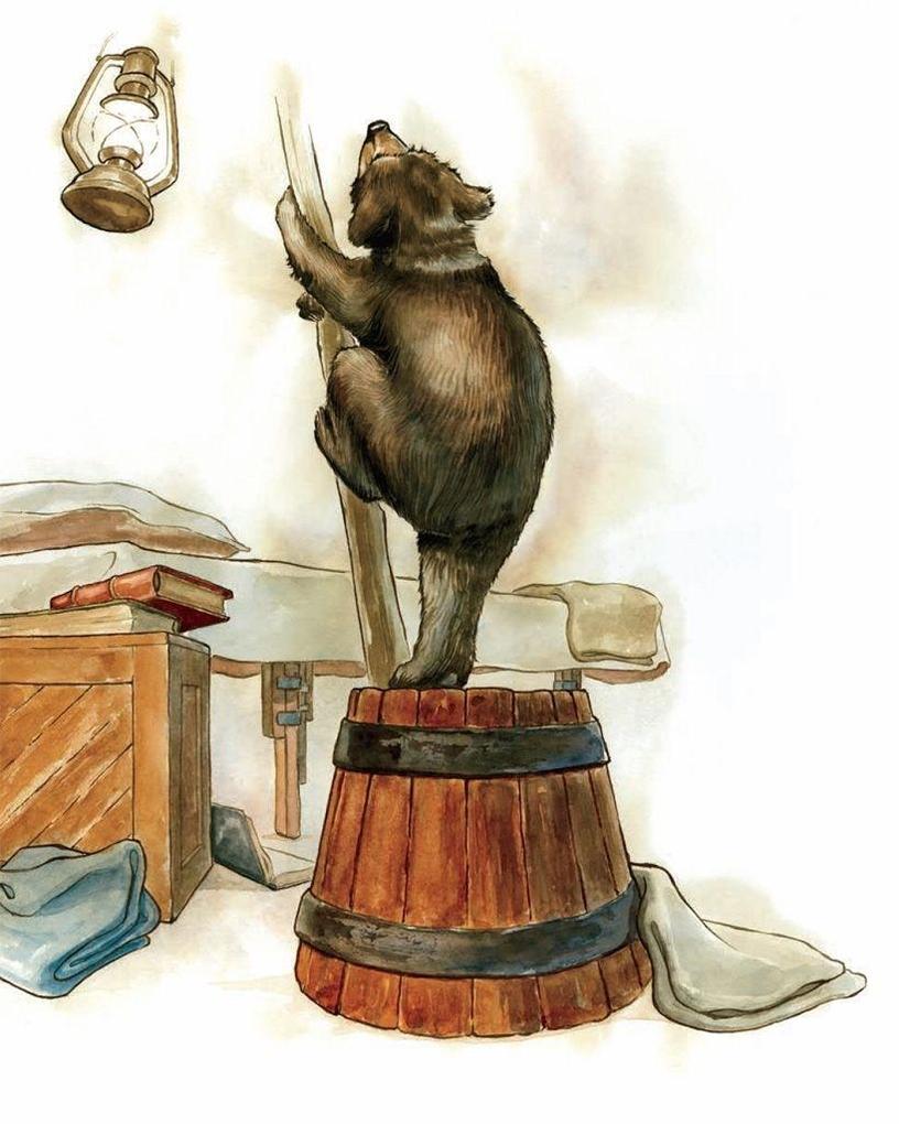 Weitere Ansicht: Winnie | Sally M Walker