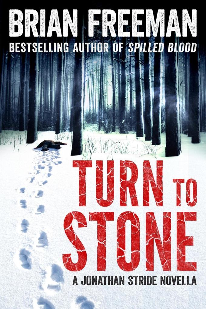 Produktbild: Turn to Stone | Brian Freeman