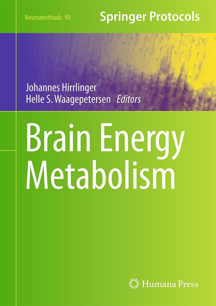 Produktbild: Brain Energy Metabolism