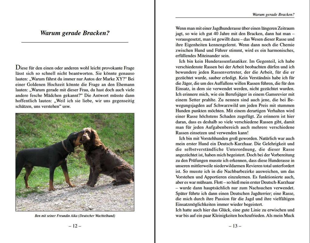 Weitere Ansicht: Darum Bracken! | Erich Pitzl