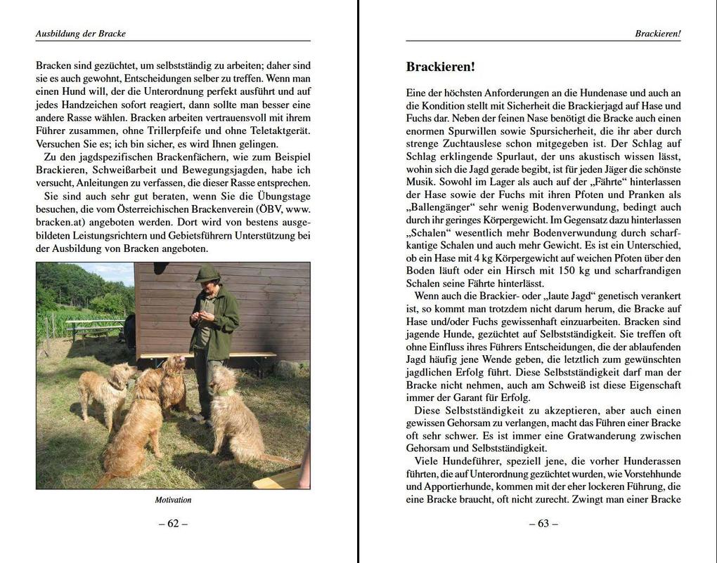 Weitere Ansicht: Darum Bracken! | Erich Pitzl