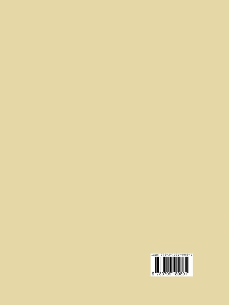 Weitere Ansicht: Handbuch des Wasserbaues | Armin Schoklitsch