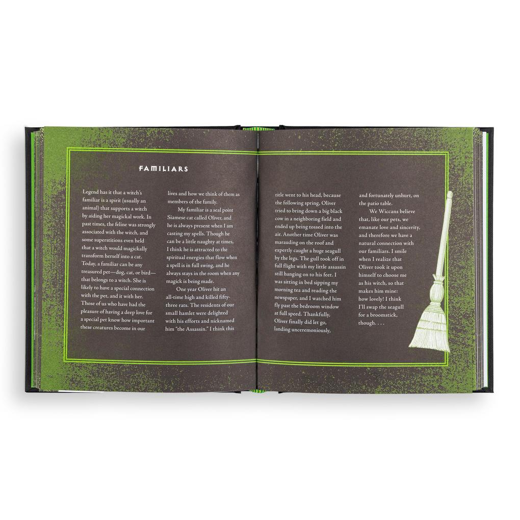 Weitere Ansicht: Wiccapedia | Shawn Robbins, Leanna Greenaway