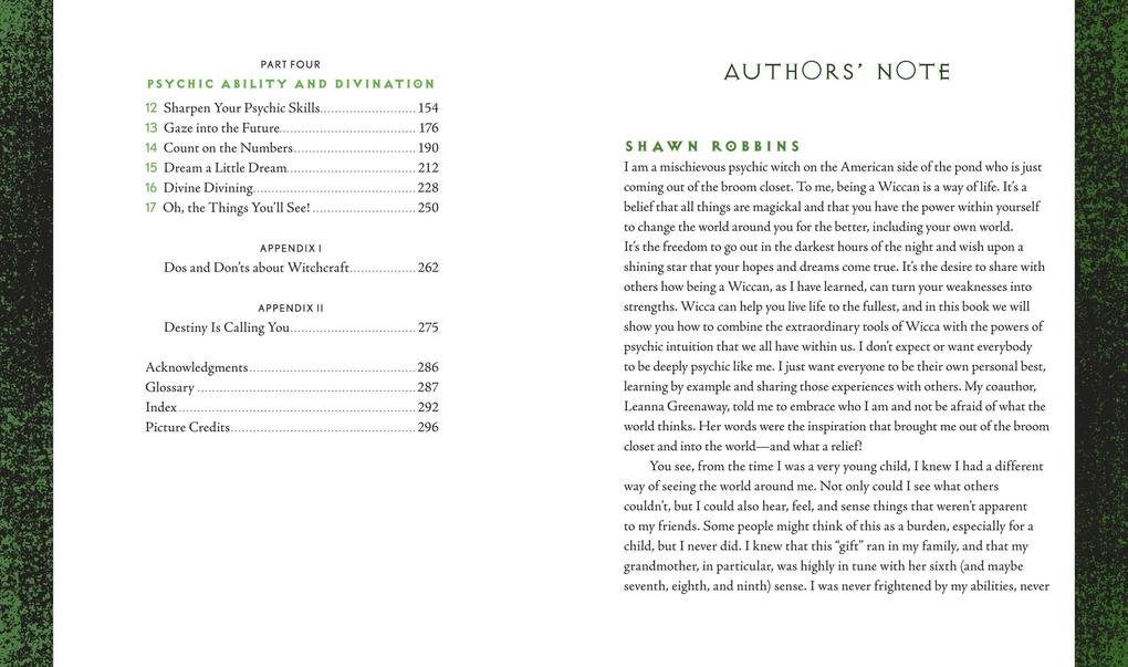 Weitere Ansicht: Wiccapedia | Shawn Robbins, Leanna Greenaway