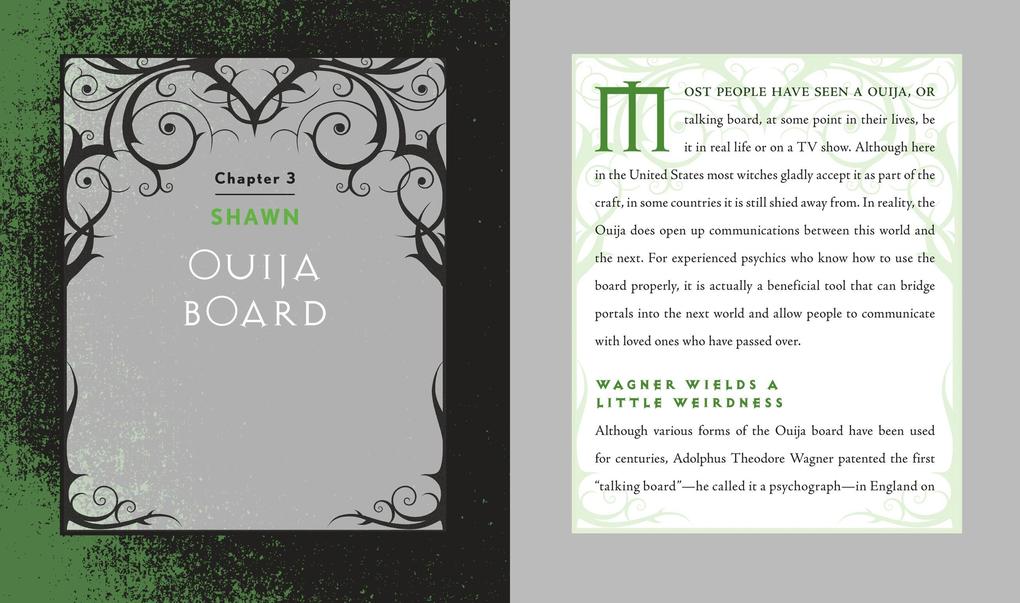 Weitere Ansicht: Wiccapedia | Shawn Robbins, Leanna Greenaway