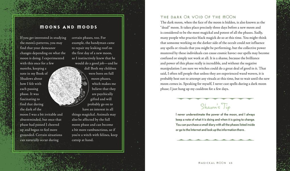 Weitere Ansicht: Wiccapedia | Shawn Robbins, Leanna Greenaway