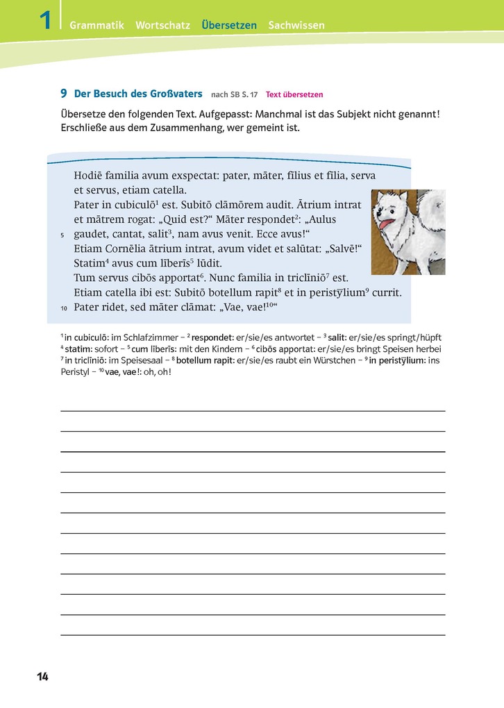 Weitere Ansicht: Pontes 1. Das Trainingsbuch zum Schulbuch