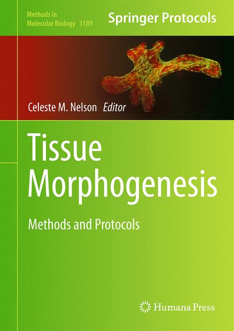 Weitere Ansicht: Tissue Morphogenesis