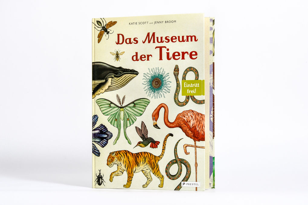 Weitere Ansicht: Das Museum der Tiere | Jenny Broom, Katie Scott