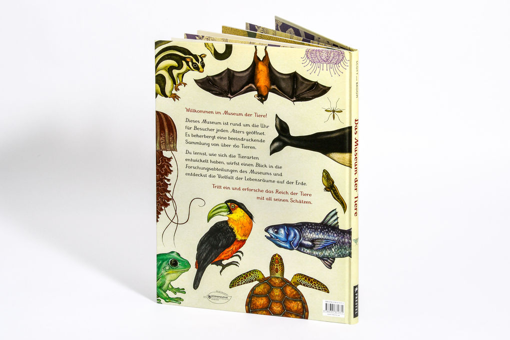 Weitere Ansicht: Das Museum der Tiere | Jenny Broom, Katie Scott