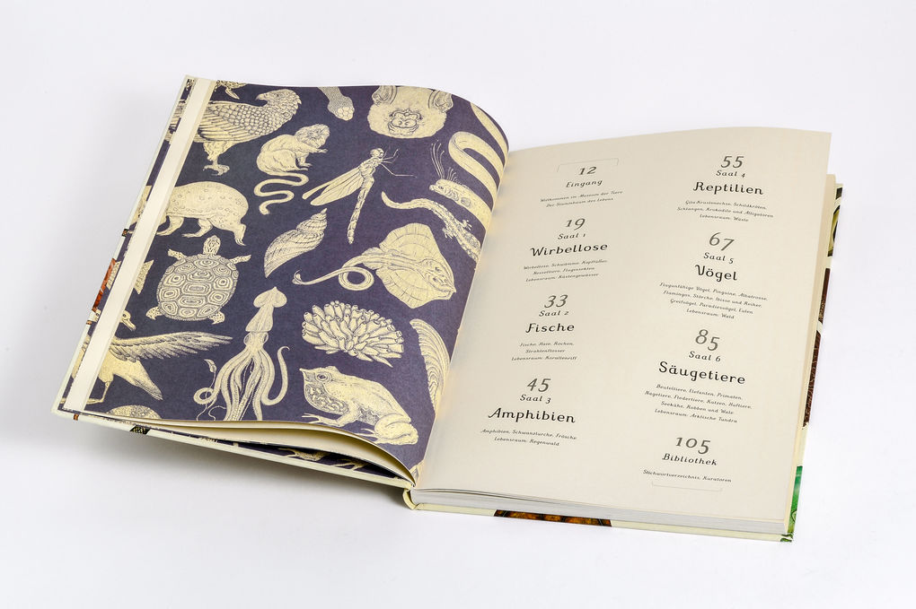 Weitere Ansicht: Das Museum der Tiere | Jenny Broom, Katie Scott