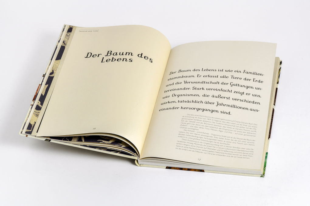 Weitere Ansicht: Das Museum der Tiere | Jenny Broom, Katie Scott