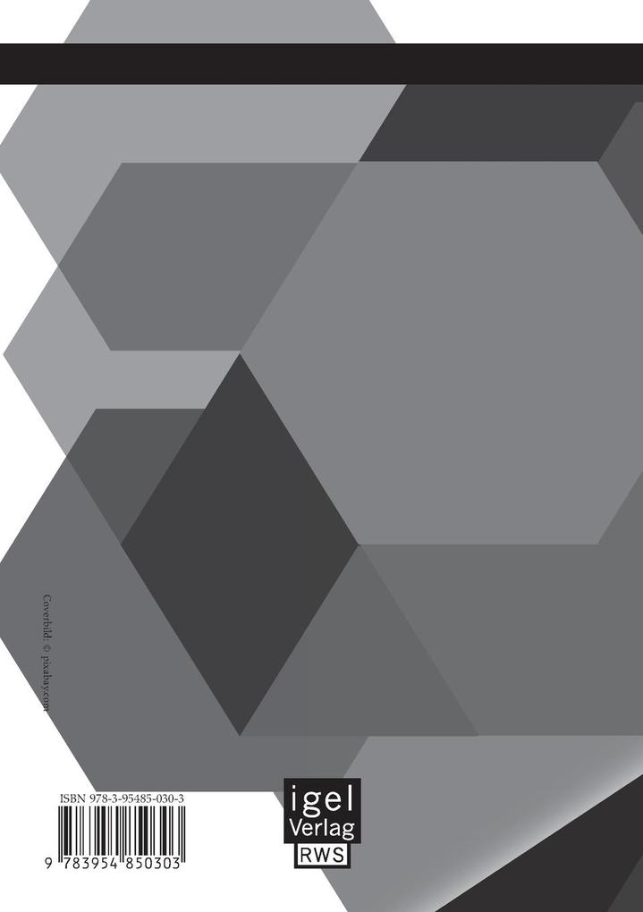 Weitere Ansicht: ERP-Software in kleinen und mittelständischen Unternehmen: Ein optimiertes Vorgehensmodell | Lars Nielsen