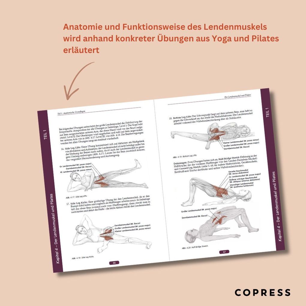 Weitere Ansicht: Psoas-Training | Jo Ann Staugaard-Jones
