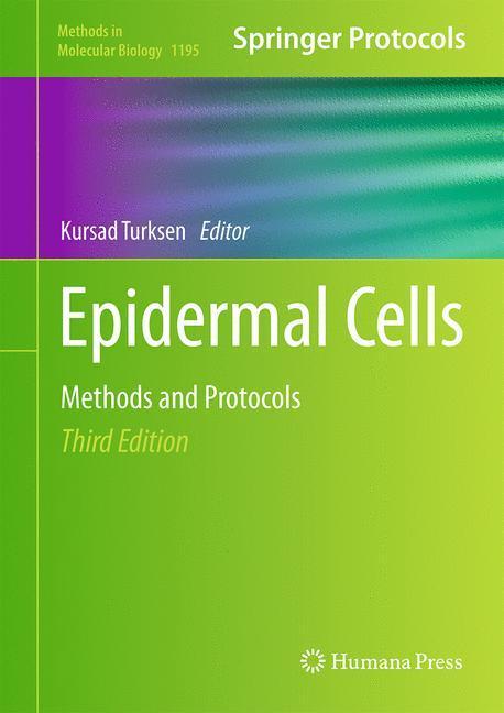 Weitere Ansicht: Epidermal Cells