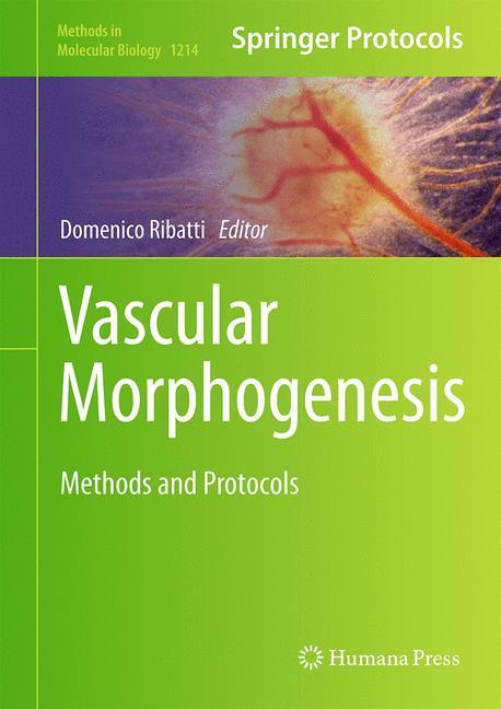 Weitere Ansicht: Vascular Morphogenesis