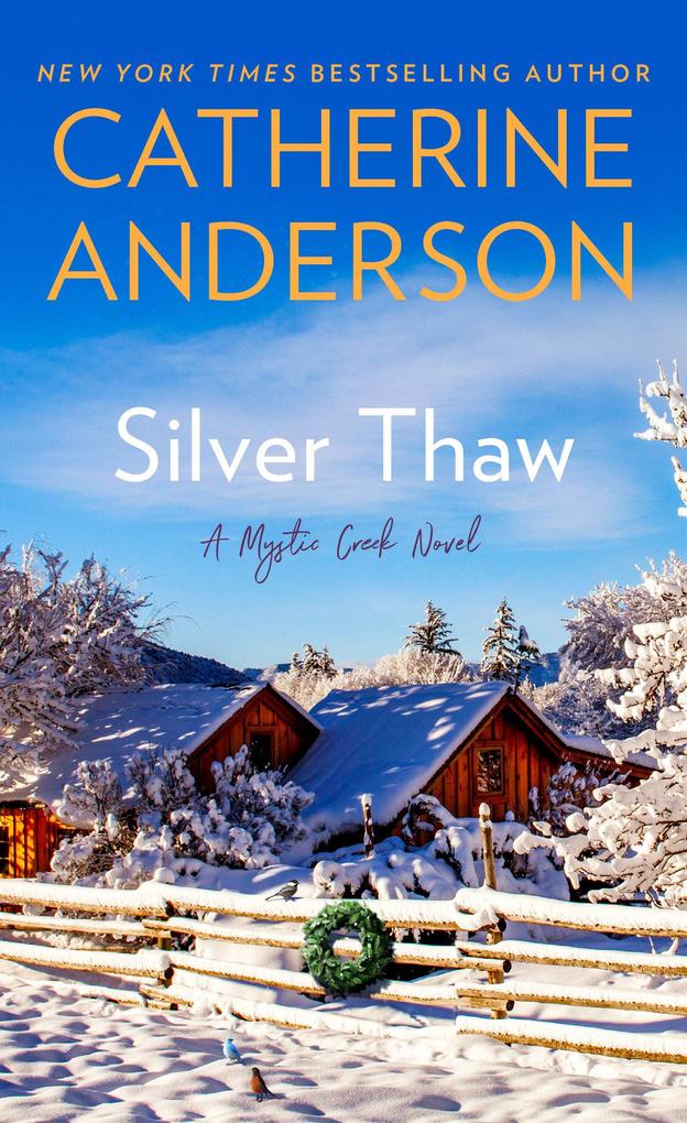 Produktbild: Silver Thaw | Catherine Anderson