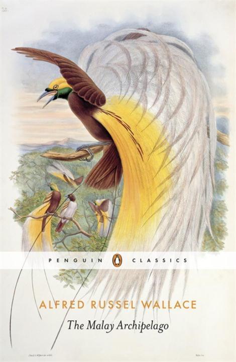 Produktbild: The Malay Archipelago | Alfred Russel Wallace