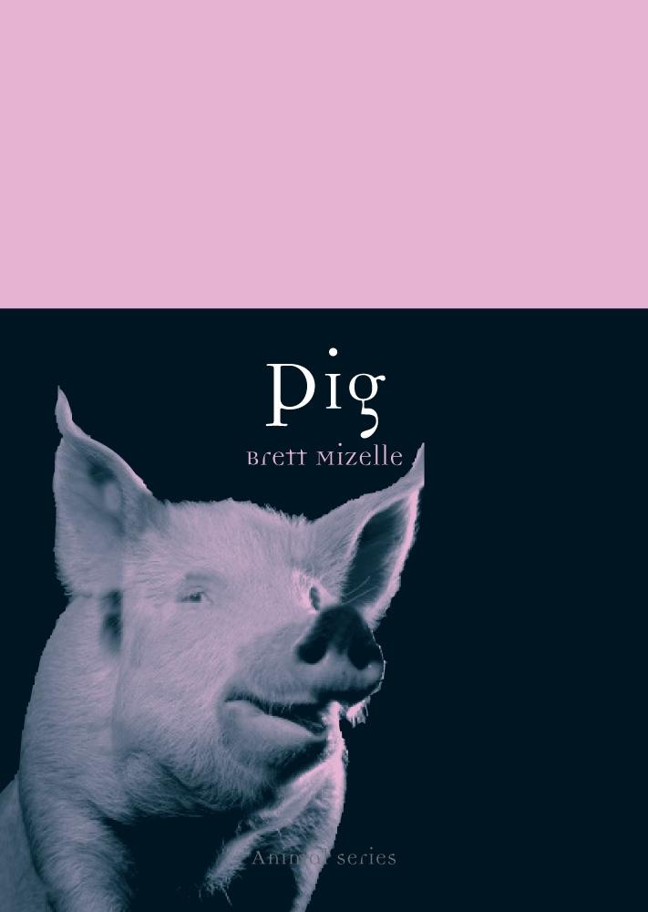 Produktbild: Pig | Mizelle Brett Mizelle