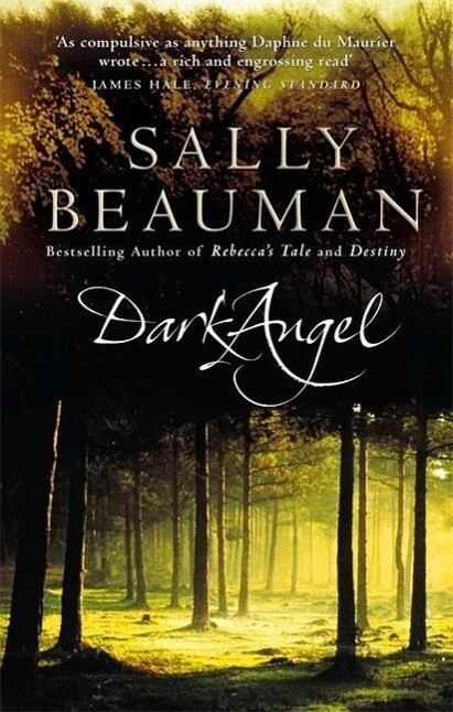 Produktbild: Dark Angel | Sally Beauman